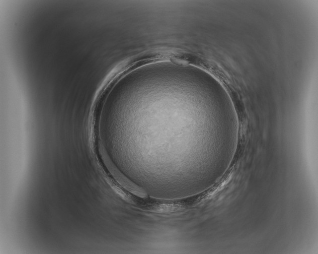 X0000112730101200908201334