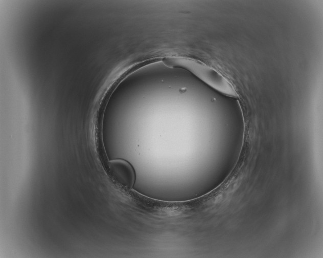 X0000112730103200908201334