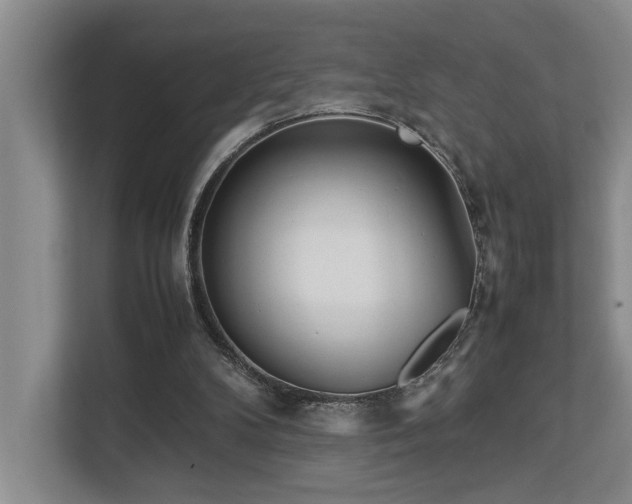 X0000112730104200908201334