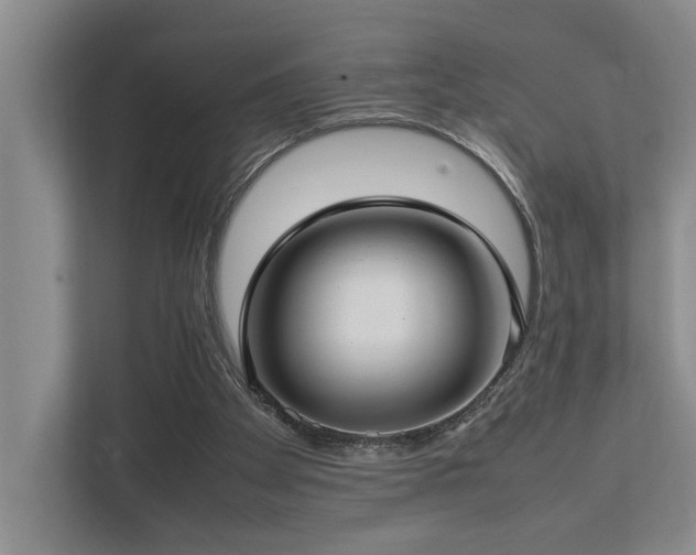 X0000112730105200908201334