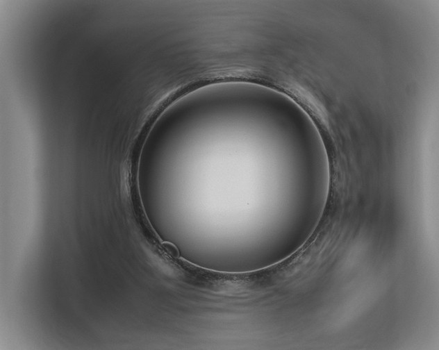 X0000112730107200908201334