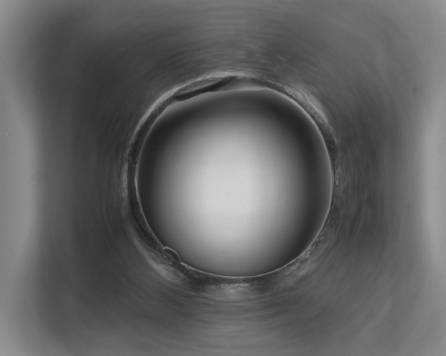 X0000112730108200908201334