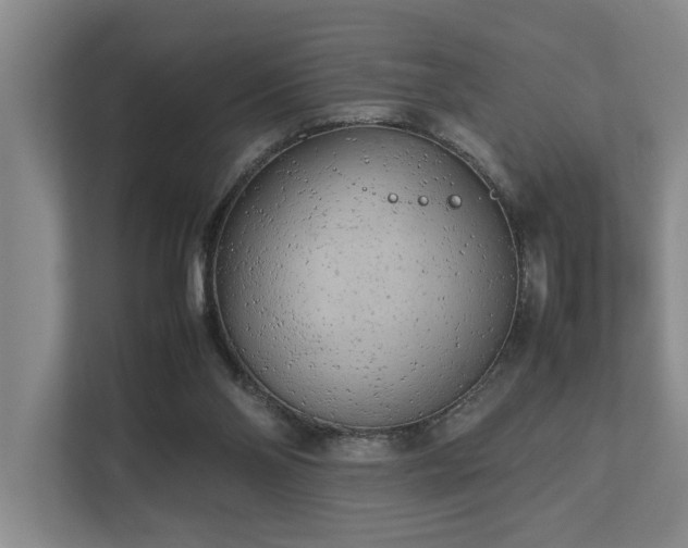 X0000112730110200908201334