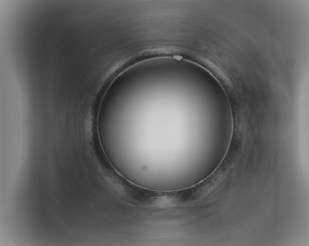 X0000112730111200908201334