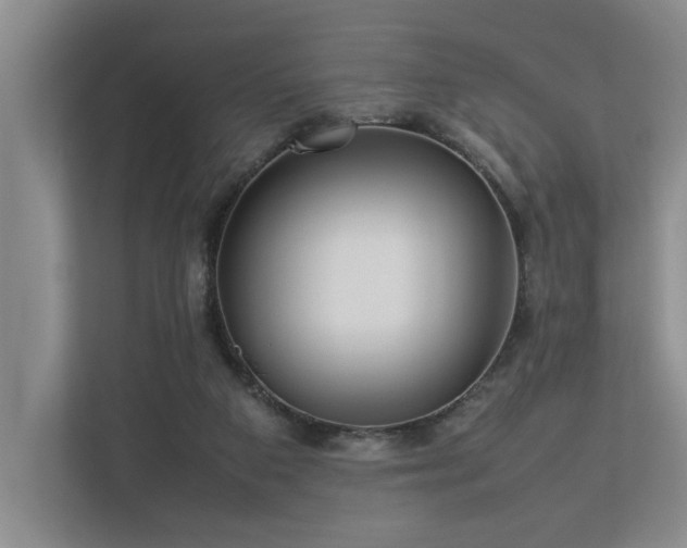 X0000112730113200908201334