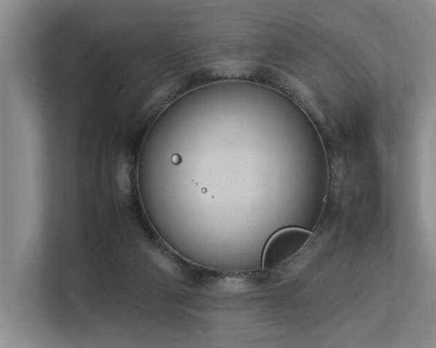 X0000112730114200908201334