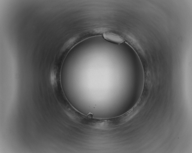 X0000112730116200908201334