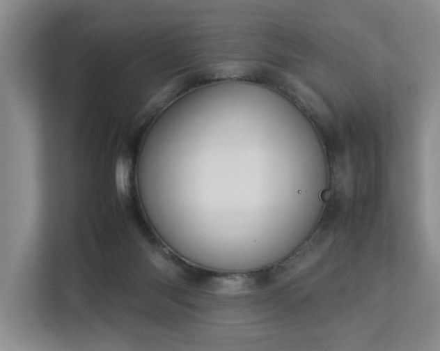 X0000112730118200908201334