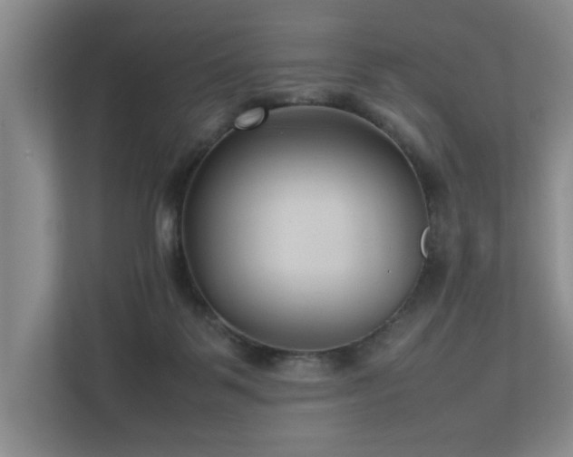 X0000112730123200908201334