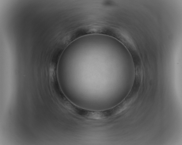 X0000112730127200908201334