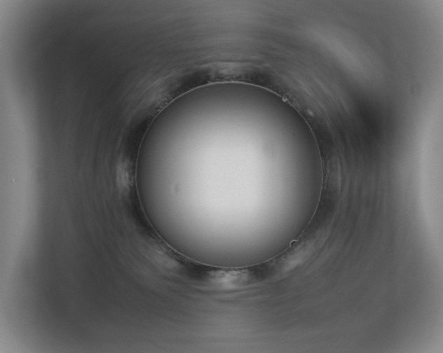 X0000112730135200908201334