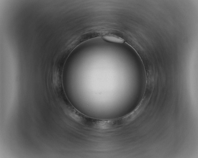 X0000112730136200908201334