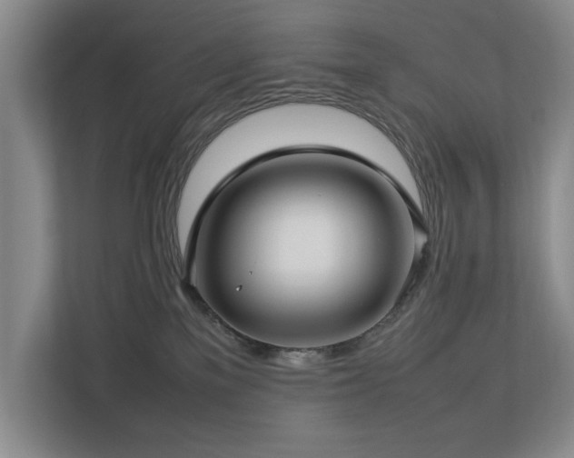 X0000112730137200908201334