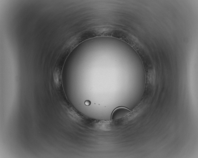 X0000112730138200908201334