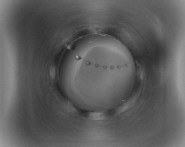 X0000112730139200908201334