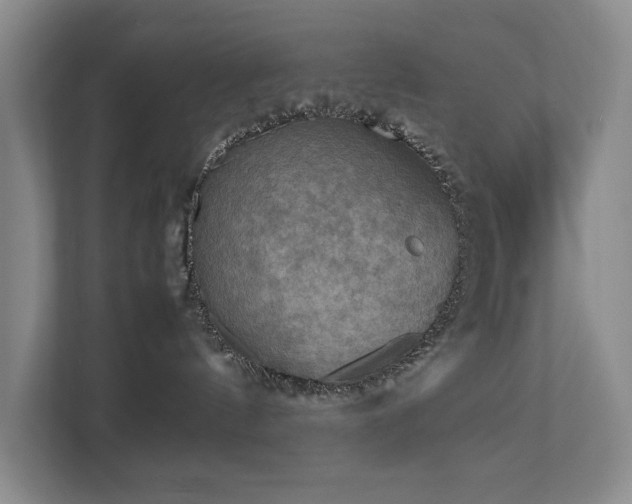 X0000112730144200908201334