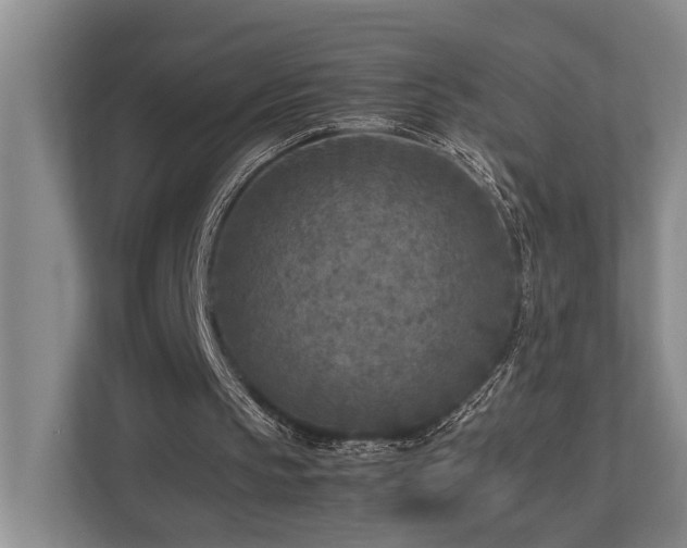 X0000112730145200908201333