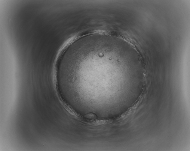 X0000112730149200908201333