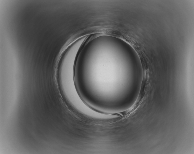 X0000112730150200908201333