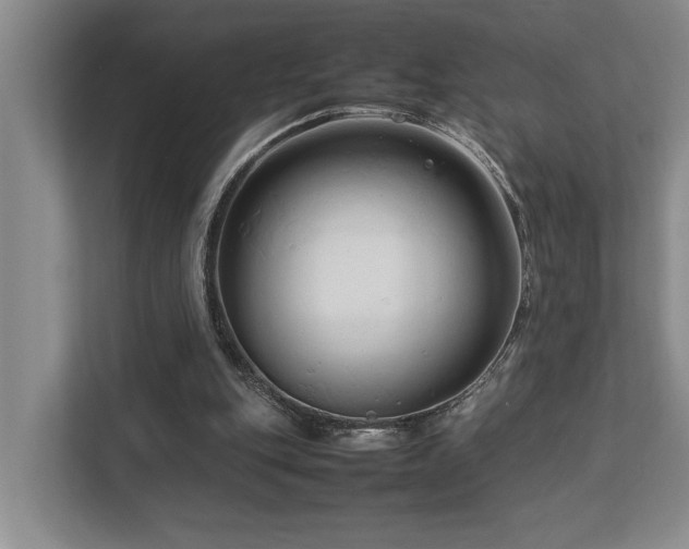 X0000112730151200908201333