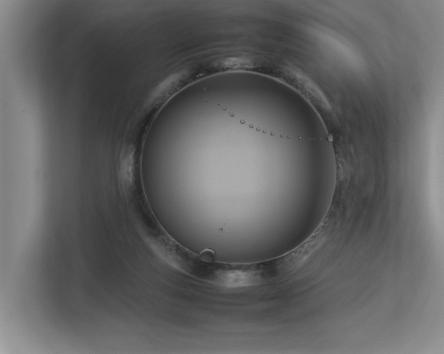 X0000112730163200908201333