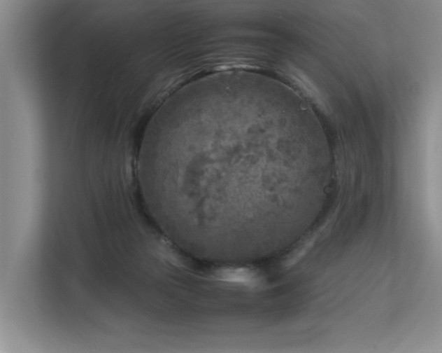 X0000112730169200908201333