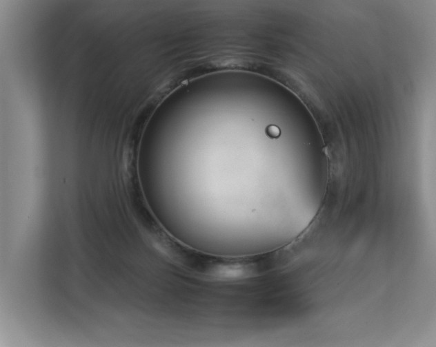 X0000112730171200908201333