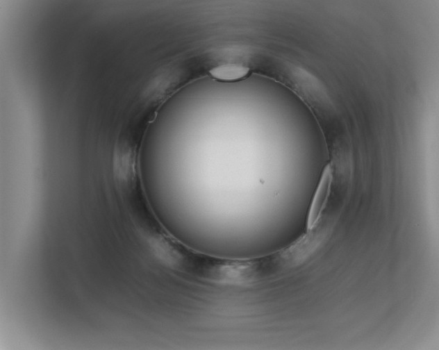 X0000112730172200908201333