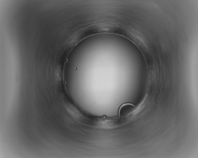 X0000112730174200908201333