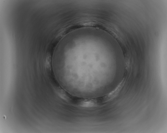 X0000112730175200908201333