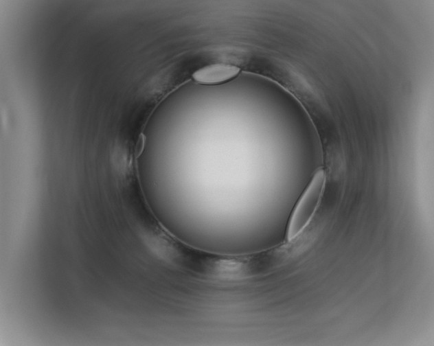 X0000112730176200908201333