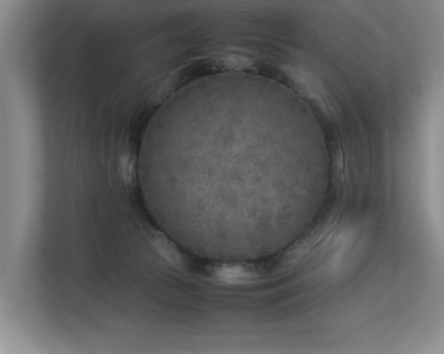 X0000112730177200908201333