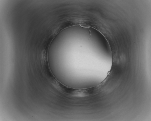 X0000112730179200908201333