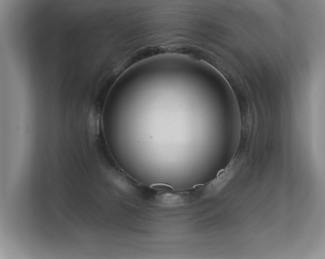 X0000112730180200908201333