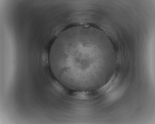 X0000112730182200908201333