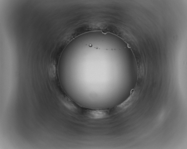 X0000112730183200908201333