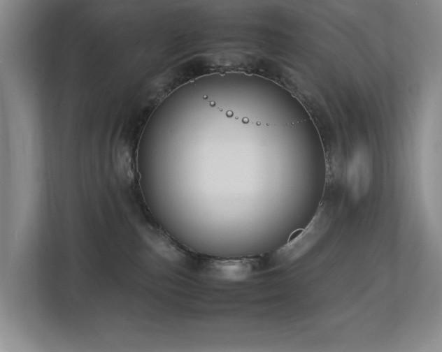 X0000112730187200908201333