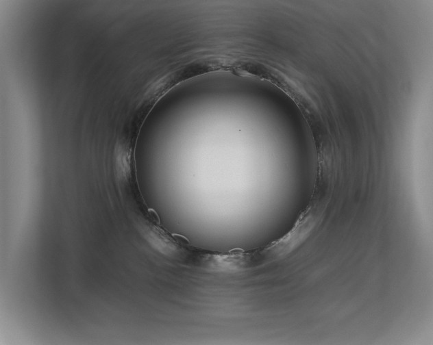 X0000112730188200908201333