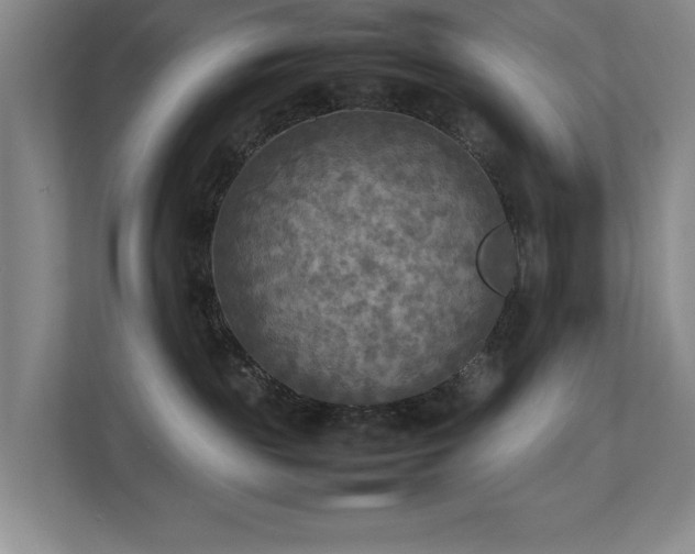 X0000112730189200908201333