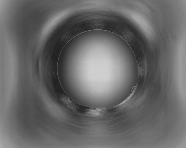 X0000112730190200908201334