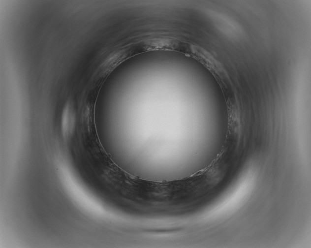 X0000112730191200908201334