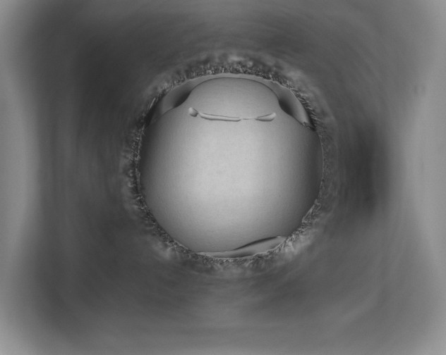 X0000112730192200908201334