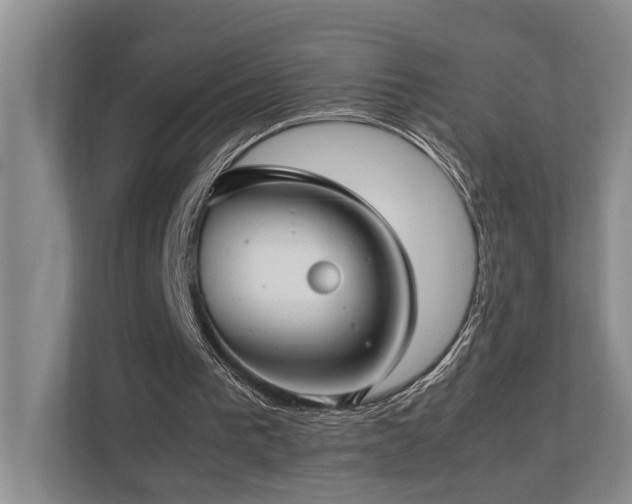 X0000112730193200908201333