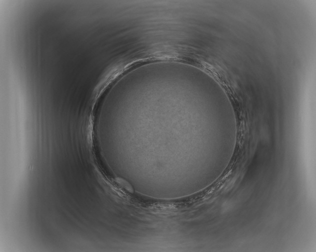 X0000112730194200908201333