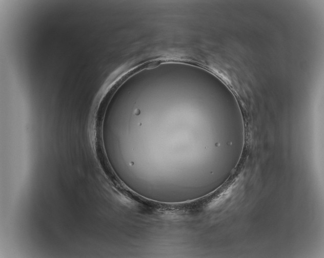 X0000112730199200908201333