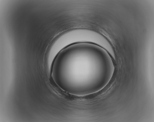 X0000112730203200908201333