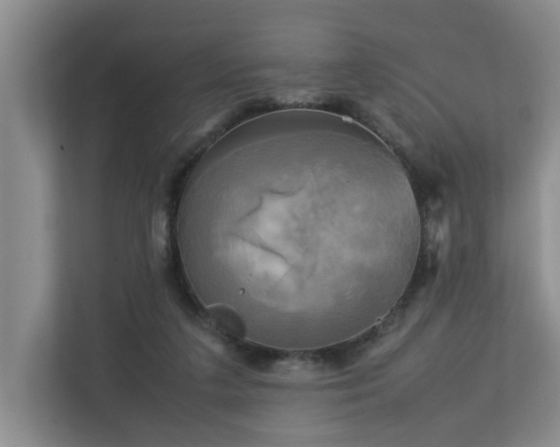 X0000112730211200908201333