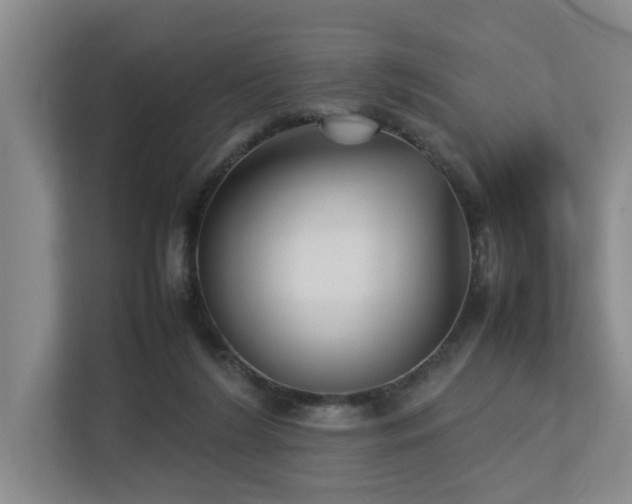 X0000112730212200908201333