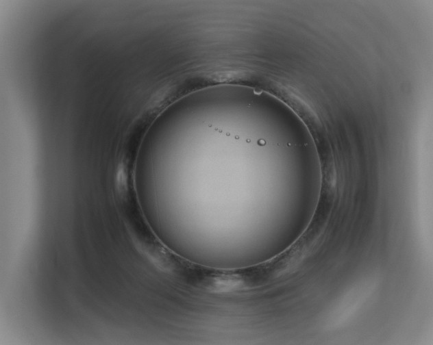 X0000112730214200908201333