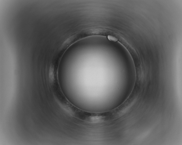 X0000112730216200908201333